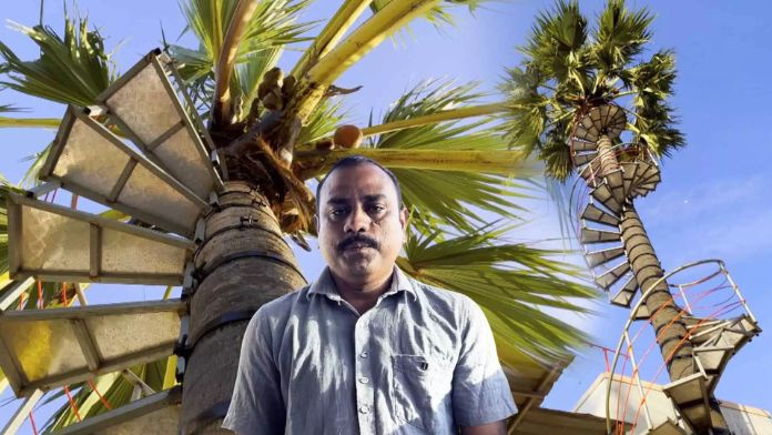 Dinakaran viral innovation palm tree steps